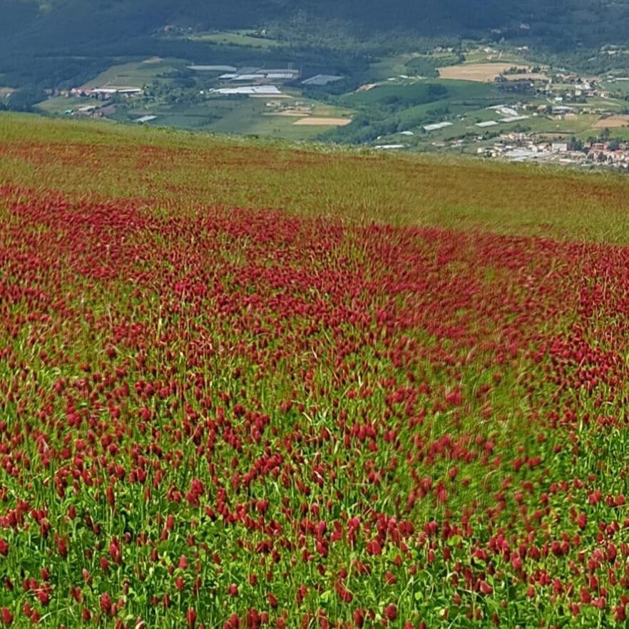 Aux Capitelles De Laure Villa ภายนอก รูปภาพ
